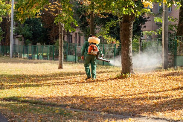 Wasp Removal Services in Irondale, GA